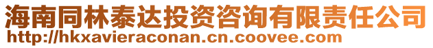 海南同林泰達投資咨詢有限責任公司