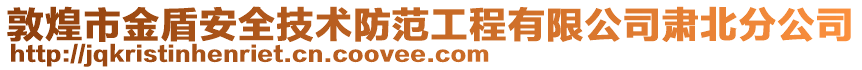 敦煌市金盾安全技術防范工程有限公司肅北分公司