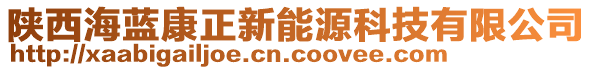 陜西海藍(lán)康正新能源科技有限公司