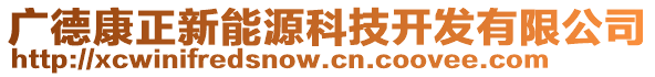 廣德康正新能源科技開發(fā)有限公司