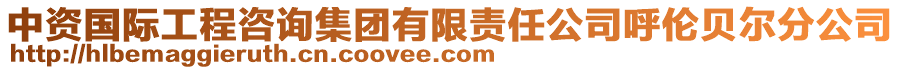 中資國(guó)際工程咨詢集團(tuán)有限責(zé)任公司呼倫貝爾分公司