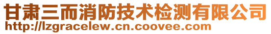 甘肅三而消防技術檢測有限公司