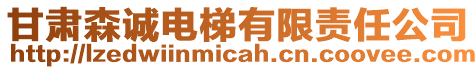 甘肅森誠(chéng)電梯有限責(zé)任公司