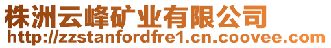 株洲云峰礦業(yè)有限公司