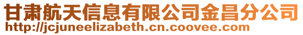 甘肅航天信息有限公司金昌分公司