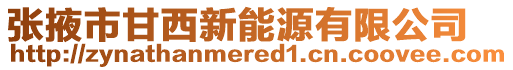 張掖市甘西新能源有限公司