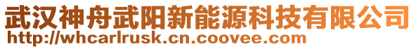 武漢神舟武陽新能源科技有限公司