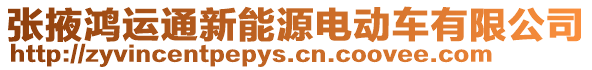 張掖鴻運(yùn)通新能源電動(dòng)車(chē)有限公司