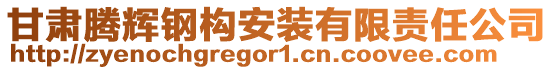 甘肅騰輝鋼構(gòu)安裝有限責(zé)任公司