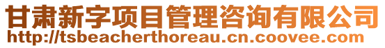 甘肅新字項目管理咨詢有限公司