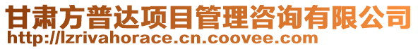 甘肅方普達(dá)項目管理咨詢有限公司