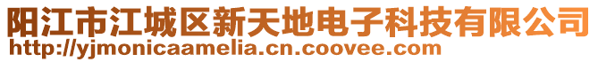 陽(yáng)江市江城區(qū)新天地電子科技有限公司