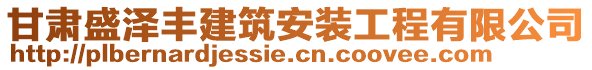 甘肅盛澤豐建筑安裝工程有限公司