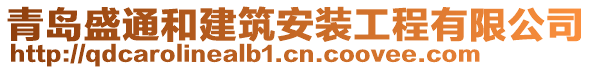 青島盛通和建筑安裝工程有限公司