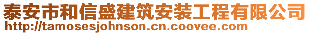 泰安市和信盛建筑安裝工程有限公司