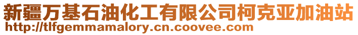 新疆萬基石油化工有限公司柯克亞加油站