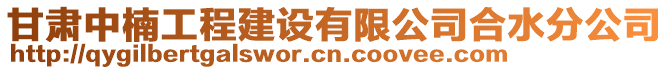 甘肅中楠工程建設(shè)有限公司合水分公司