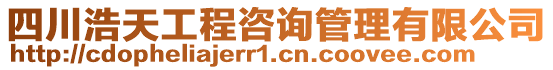 四川浩天工程咨詢管理有限公司