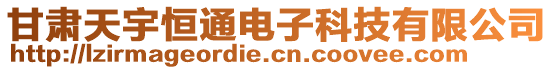 甘肅天宇恒通電子科技有限公司