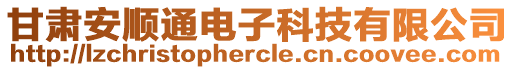 甘肅安順通電子科技有限公司