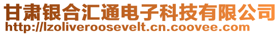 甘肅銀合匯通電子科技有限公司