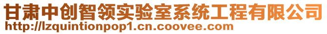 甘肅中創(chuàng)智領(lǐng)實(shí)驗(yàn)室系統(tǒng)工程有限公司