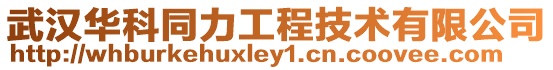 武漢華科同力工程技術有限公司