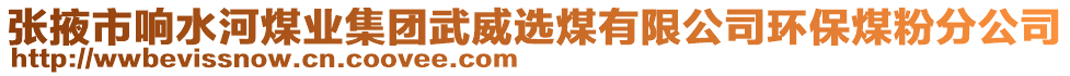 張掖市響水河煤業(yè)集團(tuán)武威選煤有限公司環(huán)保煤粉分公司