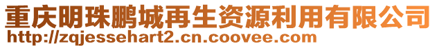 重慶明珠鵬城再生資源利用有限公司