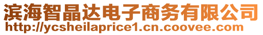 濱海智晶達(dá)電子商務(wù)有限公司