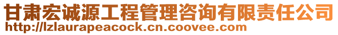 甘肅宏誠(chéng)源工程管理咨詢有限責(zé)任公司