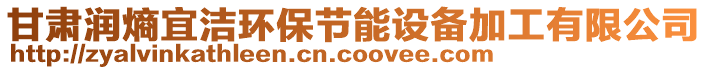 甘肅潤熵宜潔環(huán)保節(jié)能設(shè)備加工有限公司