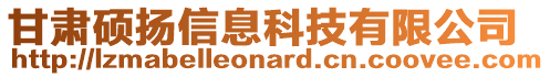 甘肅碩揚(yáng)信息科技有限公司