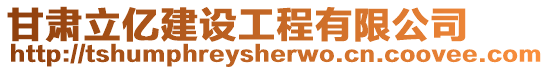 甘肅立億建設(shè)工程有限公司