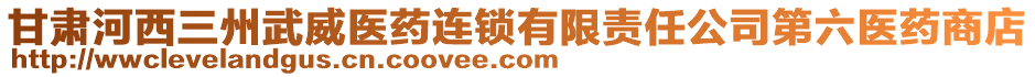 甘肅河西三州武威醫(yī)藥連鎖有限責(zé)任公司第六醫(yī)藥商店