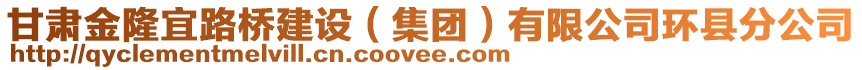 甘肅金隆宜路橋建設(shè)（集團）有限公司環(huán)縣分公司