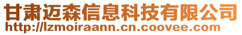 甘肅邁森信息科技有限公司