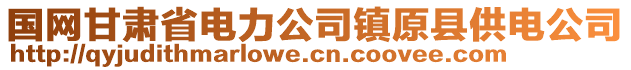 國(guó)網(wǎng)甘肅省電力公司鎮(zhèn)原縣供電公司