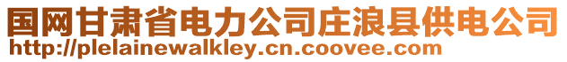 國(guó)網(wǎng)甘肅省電力公司莊浪縣供電公司