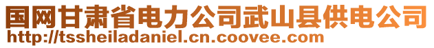 國(guó)網(wǎng)甘肅省電力公司武山縣供電公司