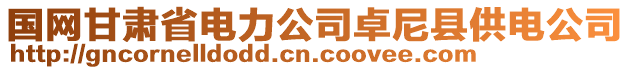 國(guó)網(wǎng)甘肅省電力公司卓尼縣供電公司