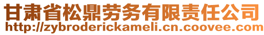 甘肅省松鼎勞務(wù)有限責(zé)任公司