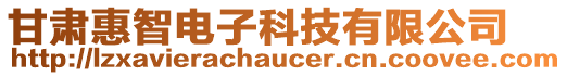 甘肅惠智電子科技有限公司