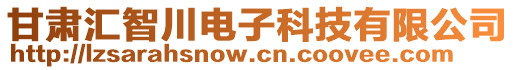 甘肅匯智川電子科技有限公司