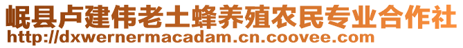 岷縣盧建偉老土蜂養(yǎng)殖農(nóng)民專(zhuān)業(yè)合作社