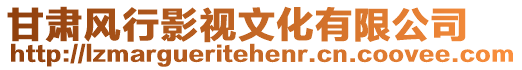 甘肅風行影視文化有限公司