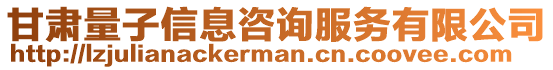 甘肅量子信息咨詢服務有限公司