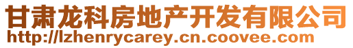 甘肅龍科房地產(chǎn)開(kāi)發(fā)有限公司