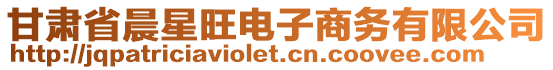 甘肅省晨星旺電子商務(wù)有限公司