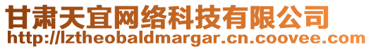 甘肅天宜網(wǎng)絡(luò)科技有限公司